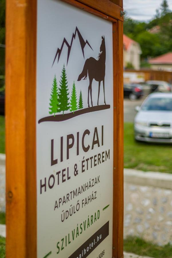 Lipicai Ifjusagi Szallo Сильвашварад Экстерьер фото